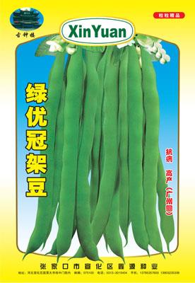 绿优冠——架豆